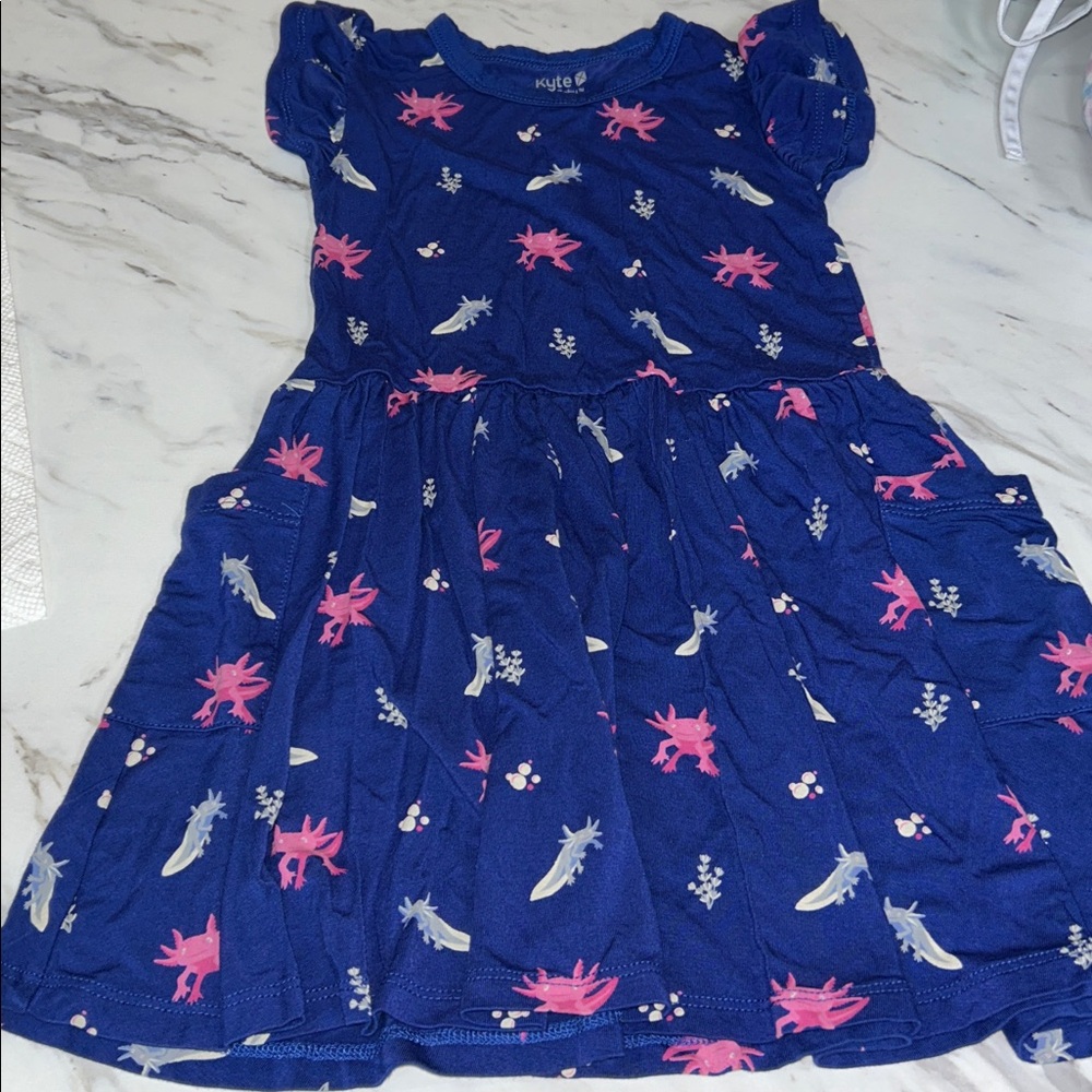 Kyte BABY Blue Dress with Pink and Gray Accents 2T